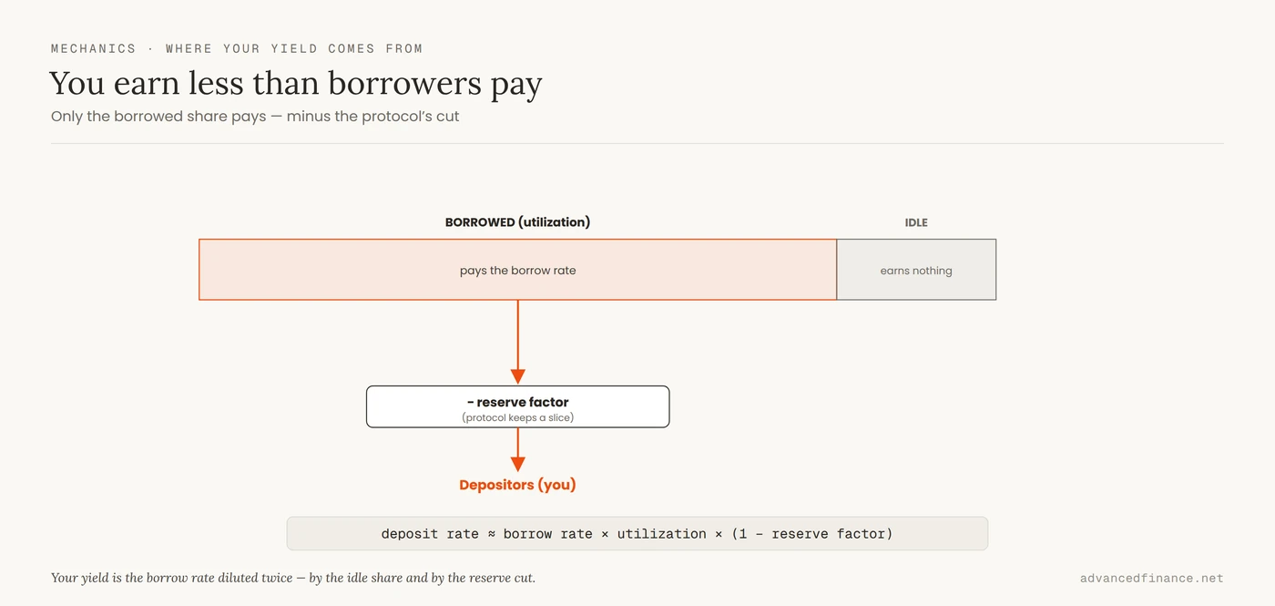 Diagram showing a lending pool split into a borrowed share that pays the borrow rate and an idle share that earns nothing, with interest flowing minus the protocol's reserve factor down to depositors